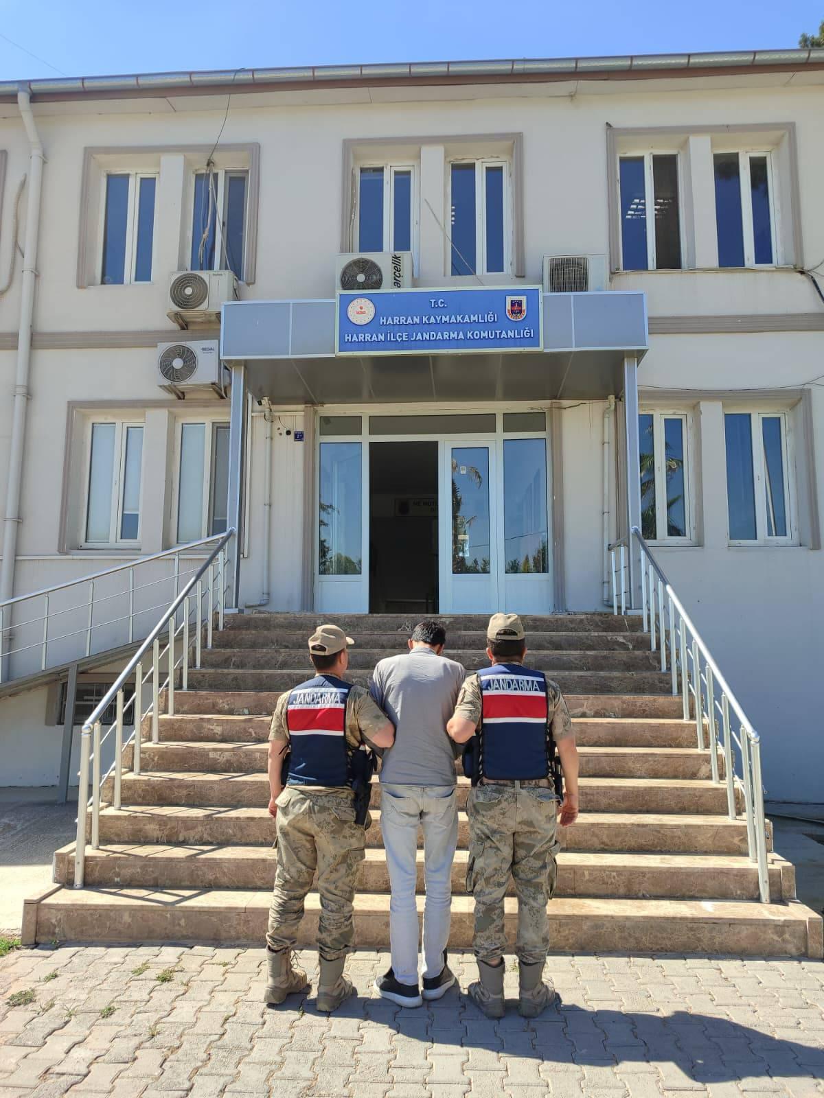 Şanlıurfa’da Aranan 2 Hükümlü Jandarma Operasyonuyla Yakalandı