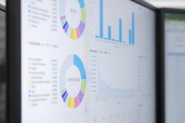 BMD Model Portföyü haftada yüzde 4,2 getiri sağladı