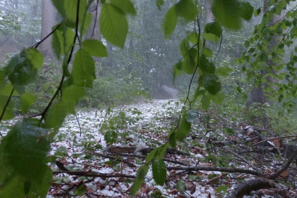 Meteoroloji 'den Trabzon ve Rize için kuvvetli yağış uyarısı