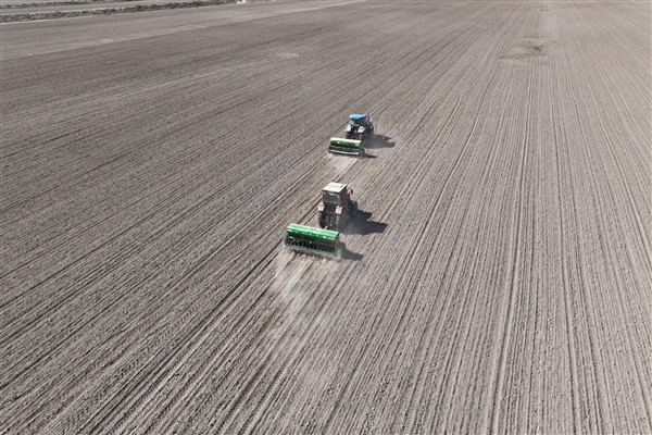 TÜİK: Tarım-GFE Mayıs'ta yıllık yüzde 36,65 arttı