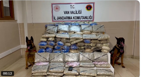 Van'da Jandarmadan Dev Uyuşturucu Operasyonu: 333 Kilo Skunk Ele Geçirildi