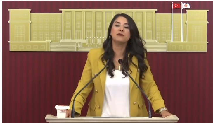 DEM Parti Milletvekili Dilan Kunt Ayan: 