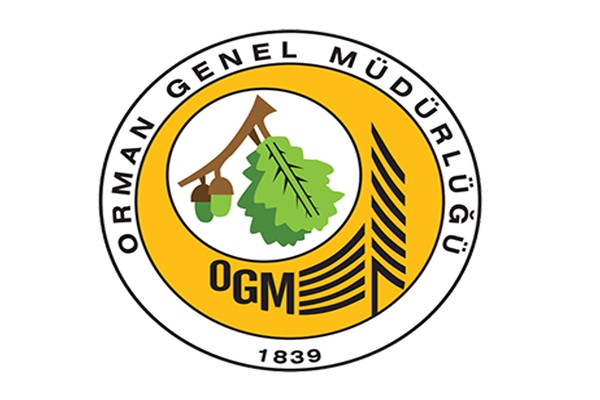 OGM: Muğla'nın Menteşe ilçesindeki yangın kontrol altına alındı