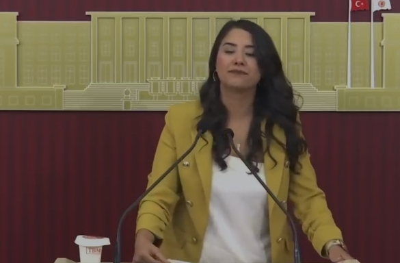 DEM Parti Milletvekili Dilan Kunt Ayan: 