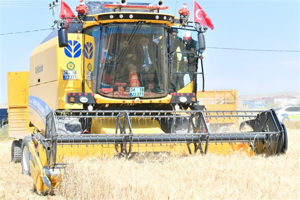 Van'da buğday hasat sezonu başladı
