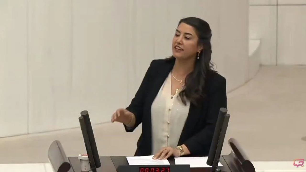 DEM Parti Milletvekili Dilan Kunt Ayan: 