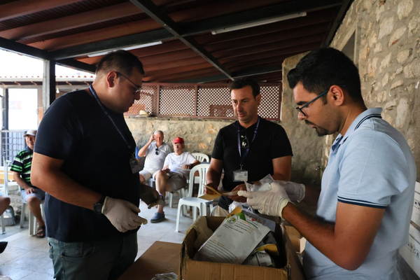 Bodrum'da Akdeniz meyve sineğine karşı tuzak dağıtımı