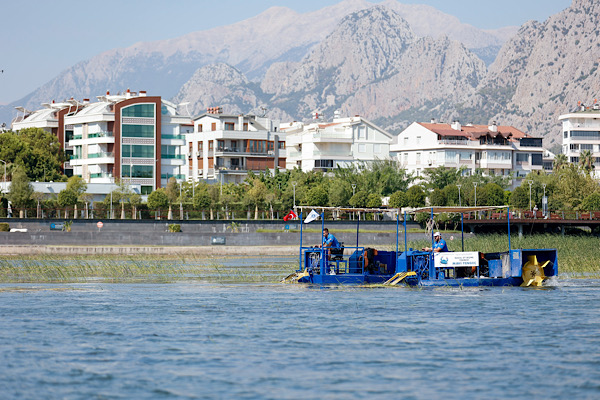 Antalya'da Boğaçayı'nda sucul bitki temizliği sürüyor