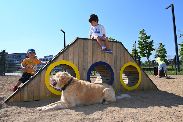 Yalova’da evcil hayvanlar için Pati Park oluşturuldu