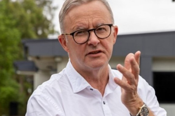 Albanese’den Ukrayna’ya Bağımsızlık Günü mesajı
