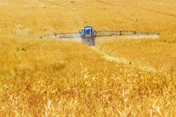 TÜRİB’de tarım ürünleri fiyatlarında haftalık yükseliş öne çıktı