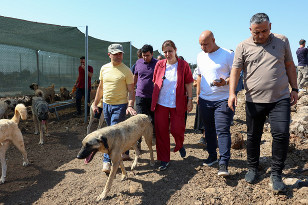 Bucak, Doğal Yaşam Alanı’nda incelemelerde bulundu