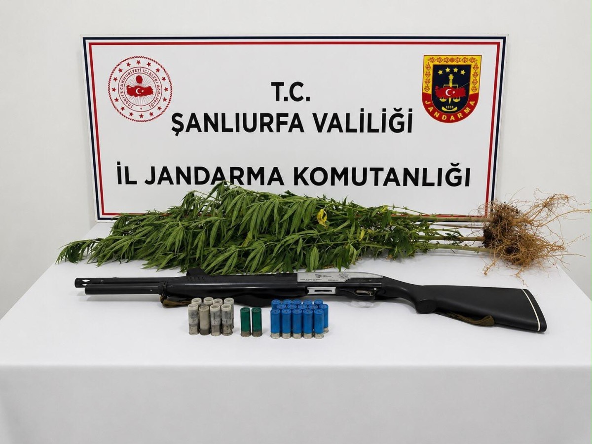 Şanlıurfa’da Uyuşturucu Operasyonları: Kenevir ve Esrar Ele Geçirildi