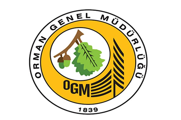 OGM, Seydikemer’deki yangına havadan ve karadan müdahale ediyor