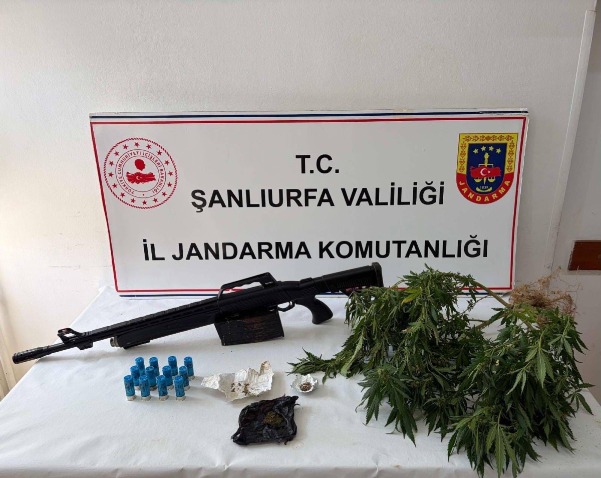 Şanlıurfa’da Narkotik Operasyonları: Esrar, Kenevir ve Ruhsatsız Tüfek Ele Geçirildi