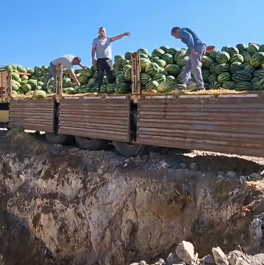Tarlada Emek, Yolda Zarar: Karpuz Üreticisinin İsyanı Sosyal Medyayı Salladı!