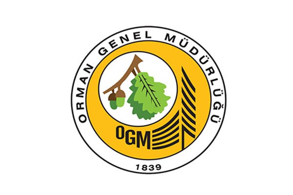 OGM: Muğla Menteşe'deki yangın büyük ölçüde kontrol altında