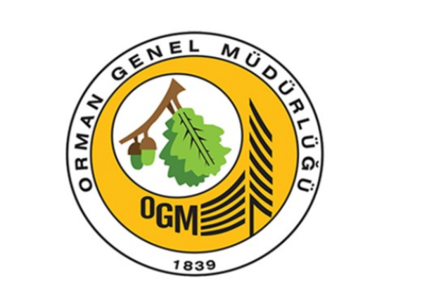 OGM: Antalya, Adana ve Mersin’de orman yangınlarına müdahale sürüyor