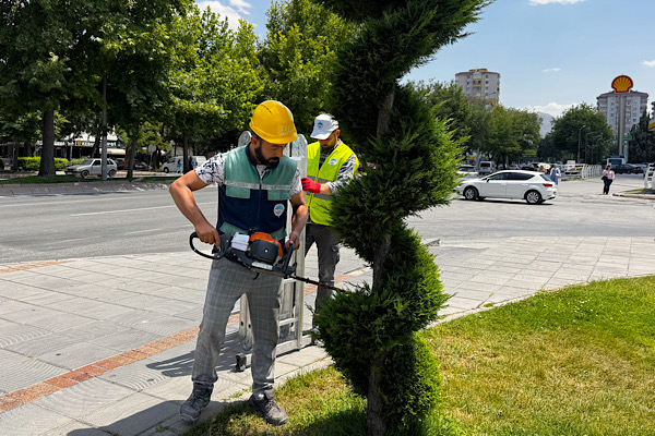 Kayseri’de yeşil alanlarda bakım ve budama çalışmaları sürüyor