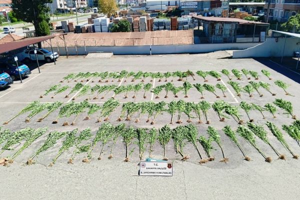 Sakarya’da uyuşturucu operasyonu: 75 gram bozai eve geçirildi