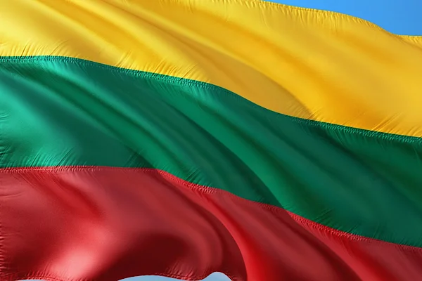 Litvanya'dan Husilerin Suudi Arabistan’a yönelik saldırılarına kınama
