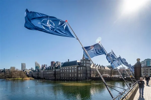 NATO'dan Litvanya'daki Alman askerlerine dron eğitimi