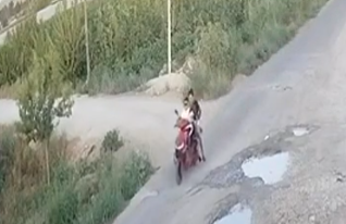 Şanlıurfa’da motosiklet hırsızlığı kamarada