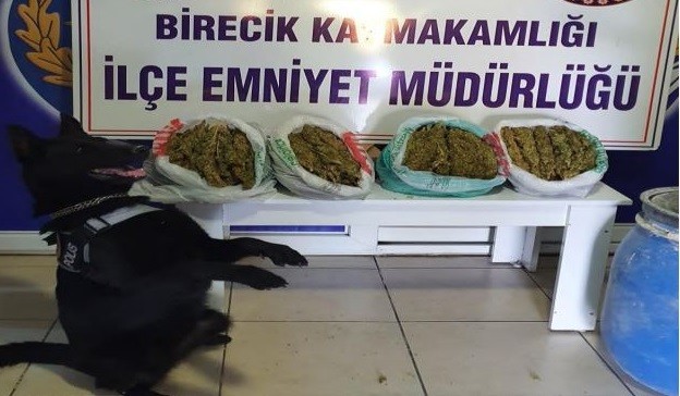 Şanlıurfa'da narkotik köpeği 'Kyra' uyuşturucuya geçit vermedi