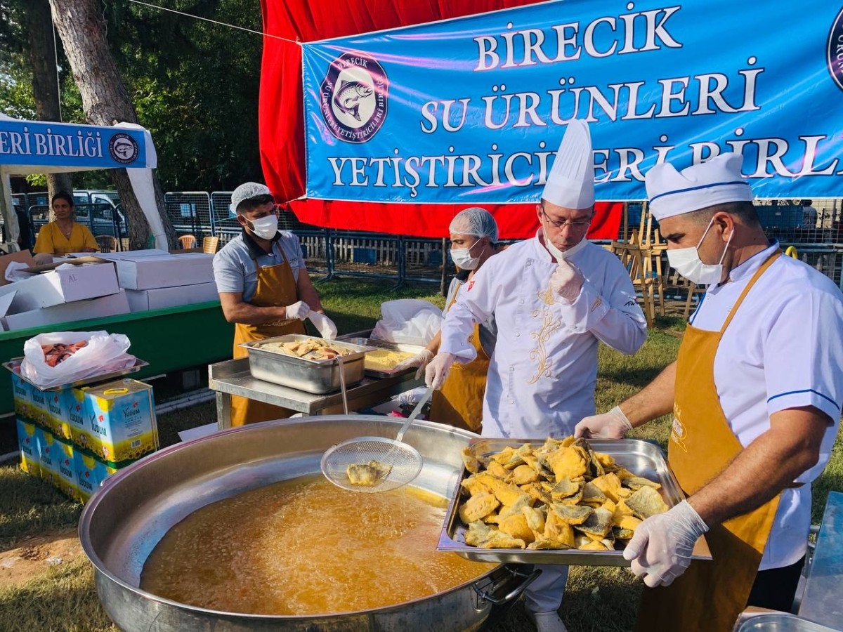 Balcan Festivalinde 3 bin kişiye balık ekmek ikram edildi  