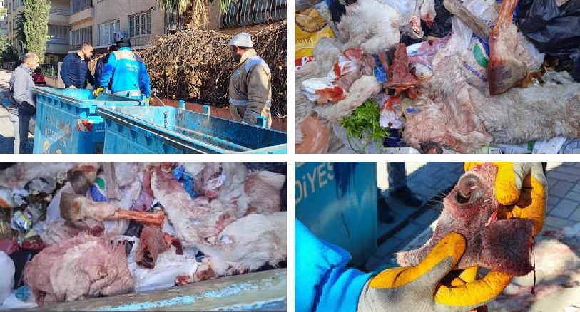 Urfa'da Çöp Konteynerinde Eşek Eti Artıkları Bulundu