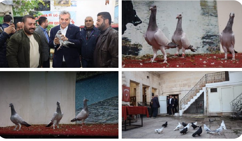 Başkan Beyazgül'den Güvercin Derneğine Ziyaret 