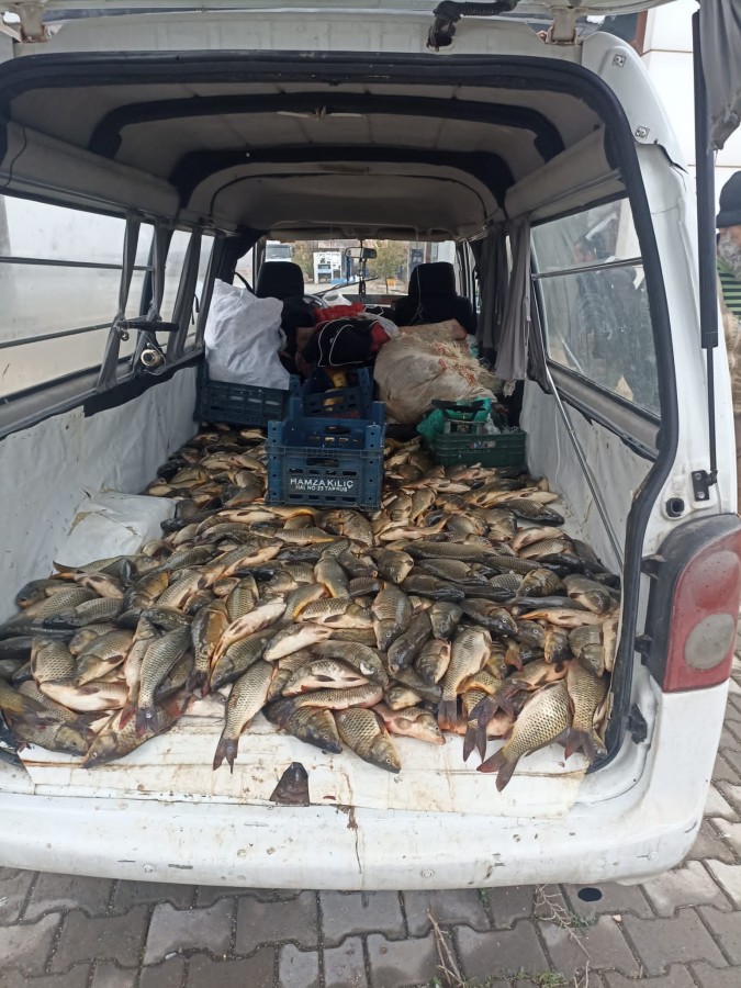 Şanlıurfa'da kaçak balık avlanan kişi hakkında işlem yapıldı