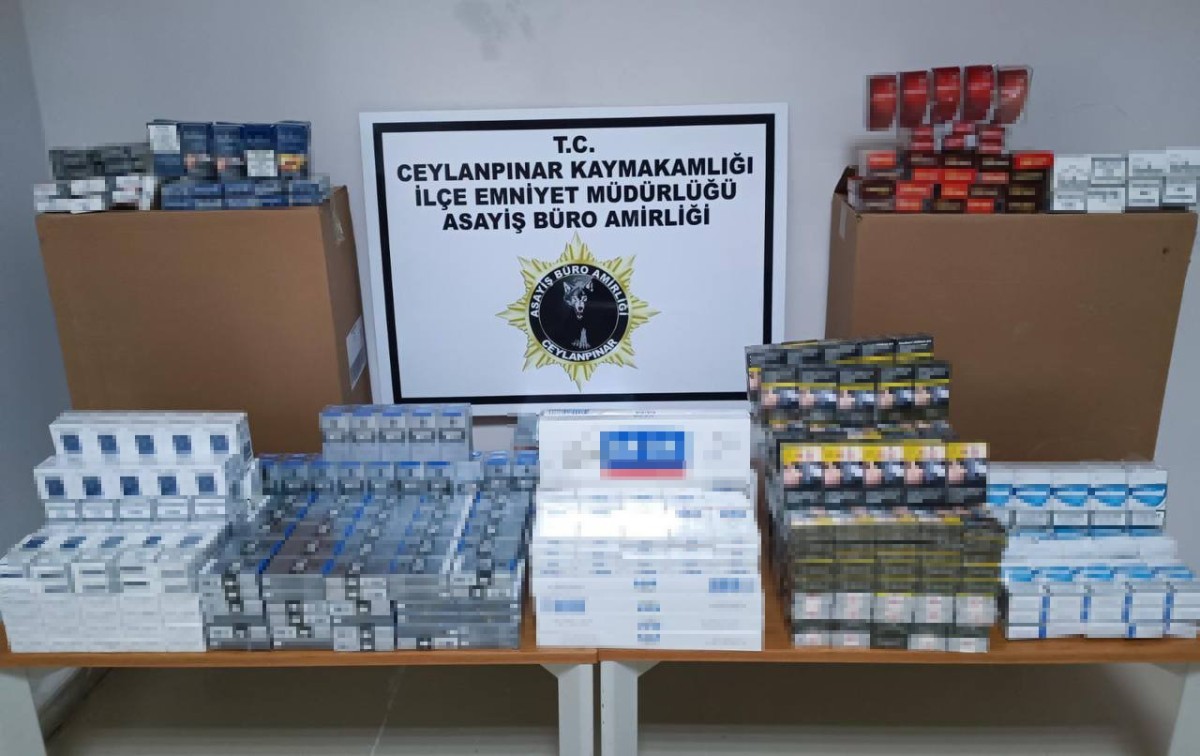 Ceylanpınar'da gümrük kaçağı 823 paket sigara ele geçirildi
