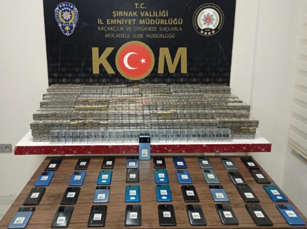 Şırnak’ta asayiş ve kaçakçılık operasyonlarında yakalanan 44 zanlıdan 1'i tutuklandı