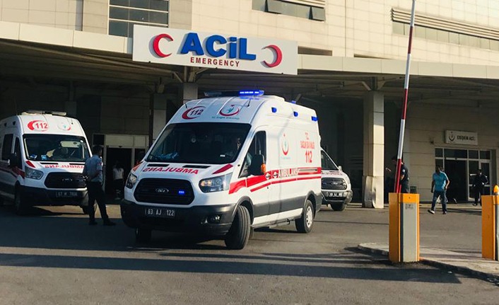 Şanlıurfa'da devrilen otomobilin sürücüsü yaralandı
