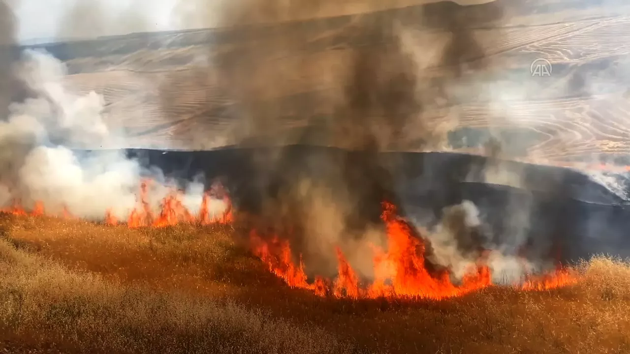 Adıyaman'da arpa ekili tarlada yangın