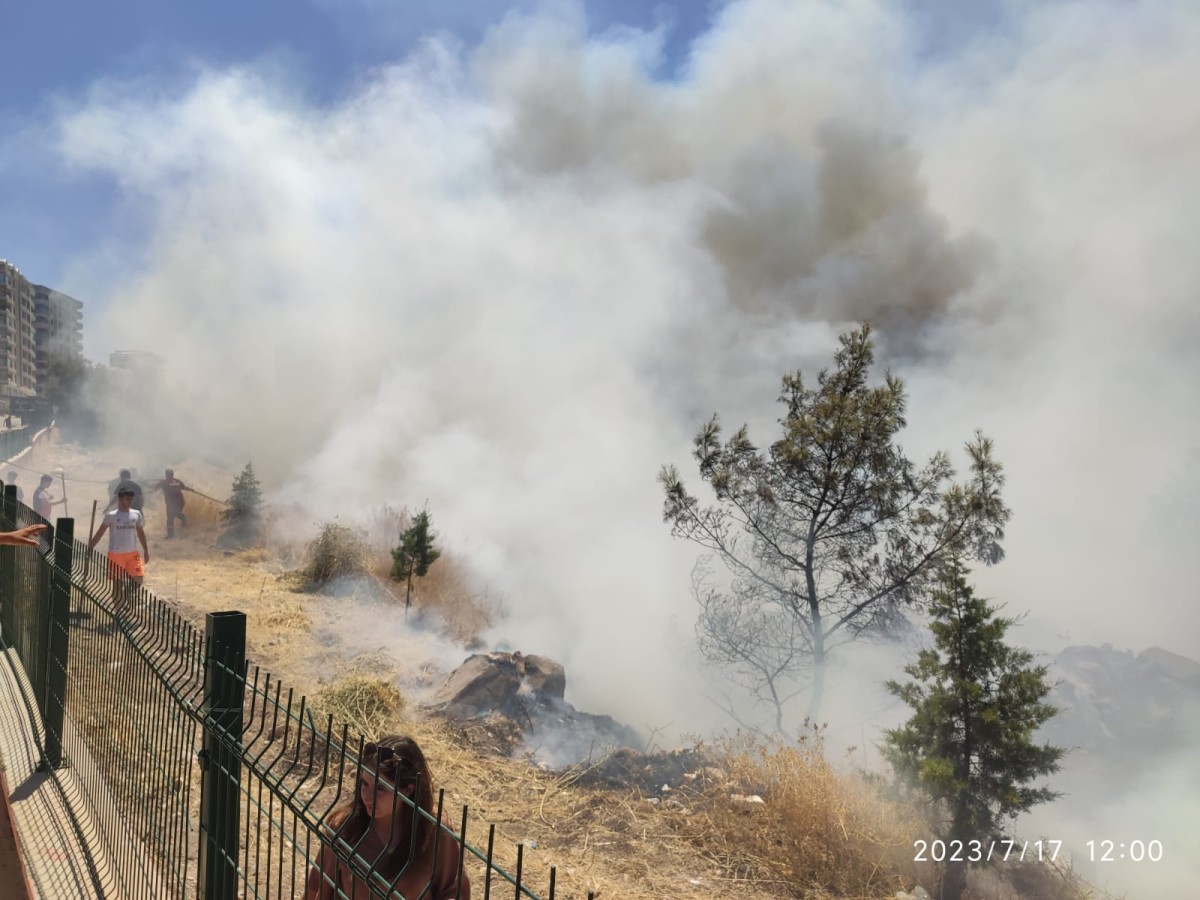 Şanlıurfa Orman Bölge Müdürlüğü Yerleşkesinde Yangın