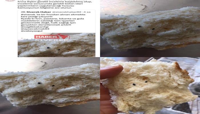 Şanlıurfa’da Aldığı Ekmekten Fare Pisliği Çıktı, Fırın Hakkında Jet İşlem Yapıldı  