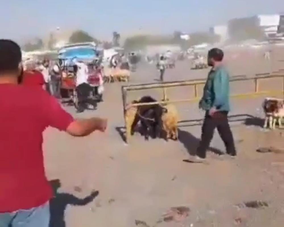 Şanlıurfa'da hayvan pazarında silahlı kavga