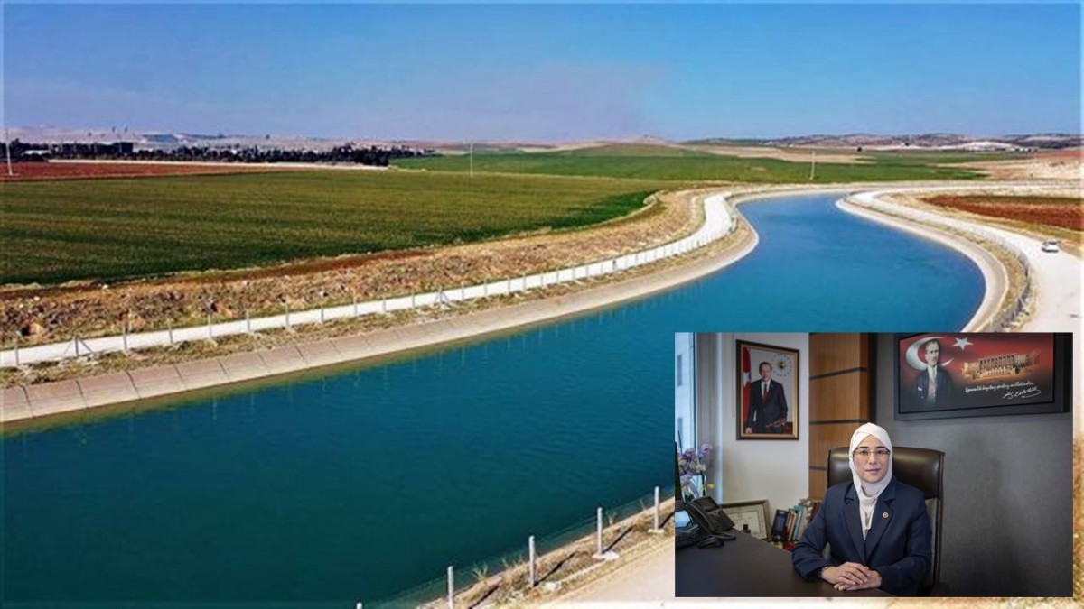 Viranşehir'de 79 bin 800 hektar suyla buluşacak