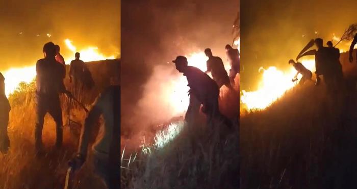 Karacadağ Bal Ormanı’nda çıkan yangın kontrol altına alındı