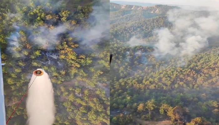 Çanakkale'de orman yangını devam ediyor 