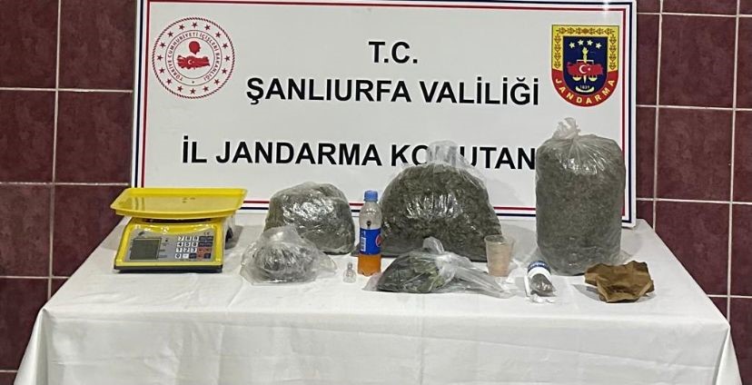 Şanlıurfa'da Jandarma uyuşturucu operasyonu: 1 gözaltı
