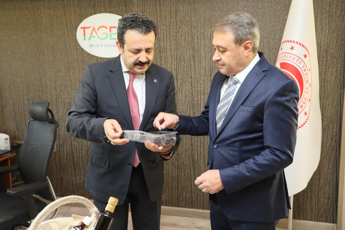 VALİ ŞILDAK: “YERLİ TOHUM ALTIN DEĞERİNDE”