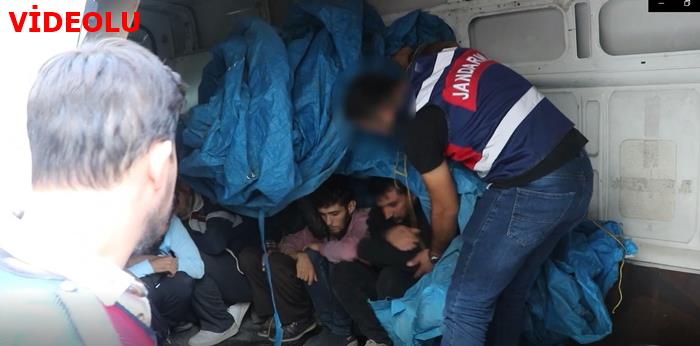 Şanlıurfa'da 39 düzensiz göçmen yakalandı