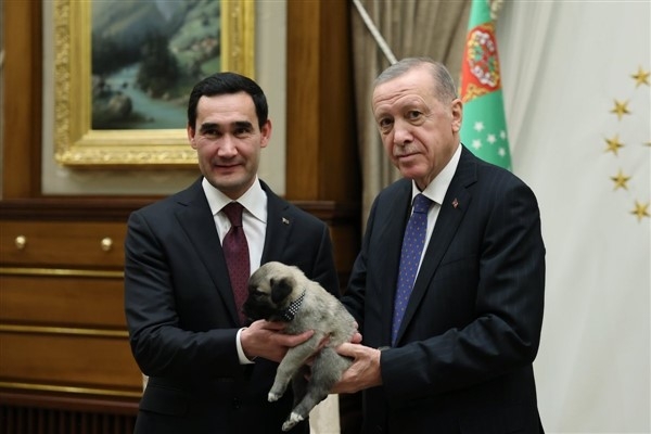 Cumhurbaşkanı Erdoğan, Türkmenistan Devlet Başkanı Berdimuhammedov'a kangal hediye etti