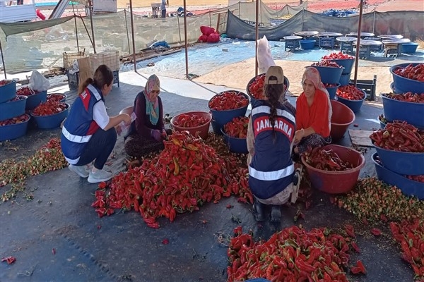Şanlıurfa'da KADES eğitimi verildi