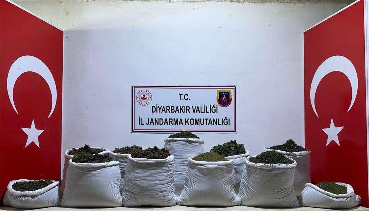135 kilogram esrar ve 47 bin 800 kök Hint keneviri ele geçirildi