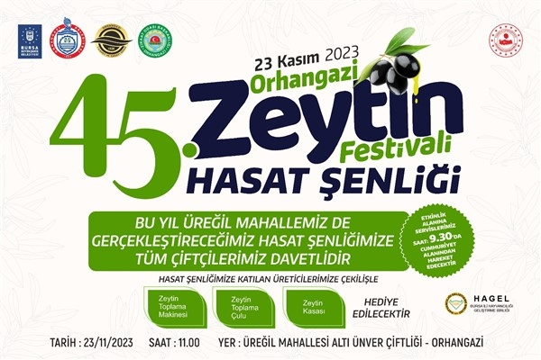 Orhangazi'de 45’inci ‘Zeytin Hasat Şenliği’ başlıyor