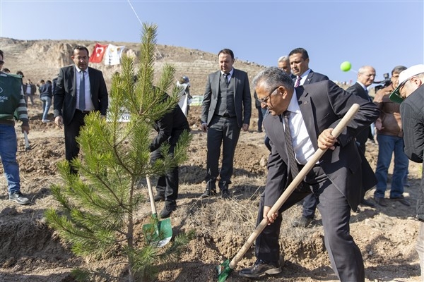 Kayseri'de 5 yılda 549 bin 735 adet ağaç ve çalı toprakla buluştu